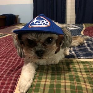 Meet your Posher, Andy